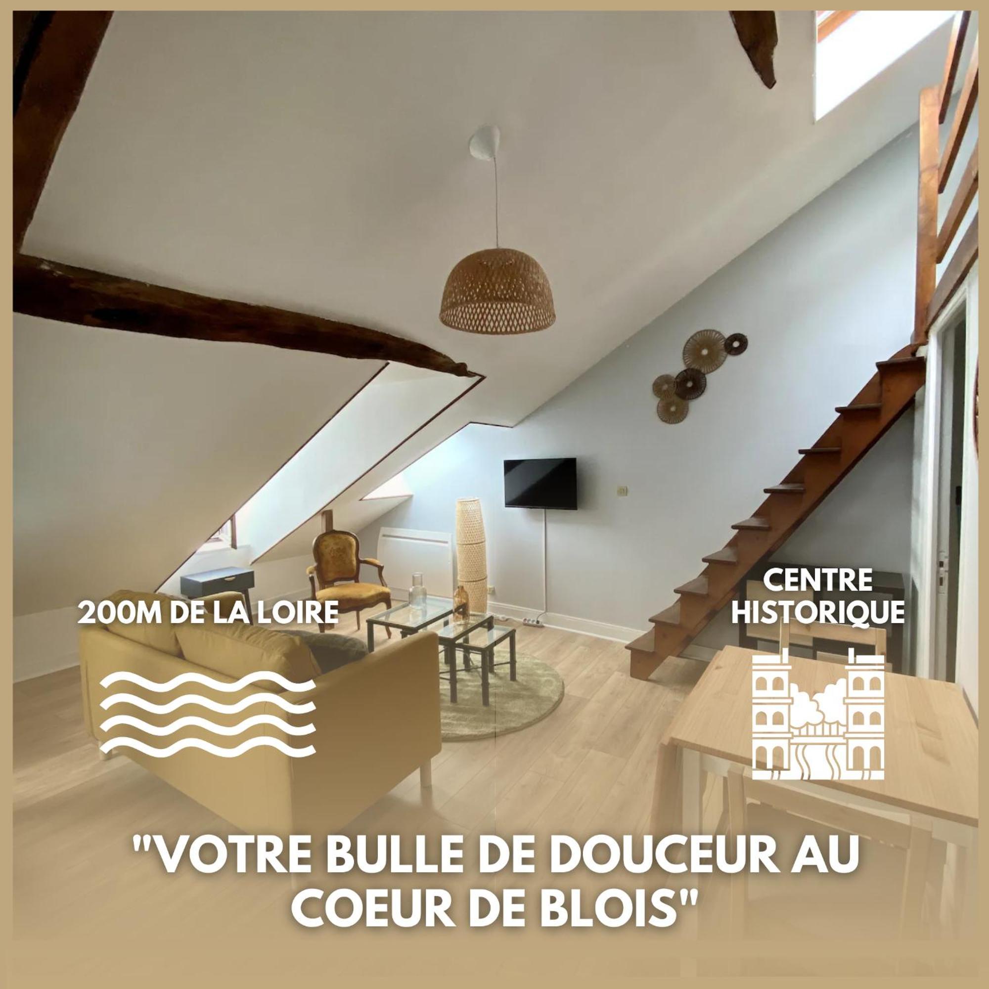 Le Cocon - Appartement En Hyper Centre Blois Bagian luar foto